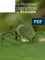Ecuador Lycaenidae Butterfly Guide 08may2022 Butterflycatalogs