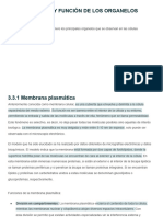 3.3 Estructura y Función de Los Organelos Celulares