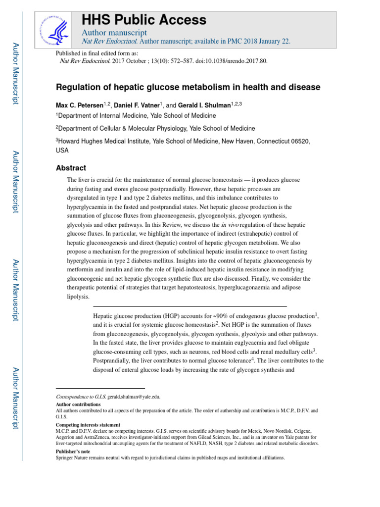 Hepatic Glucose Metabolism Regulation | PDF | Insulin Resistance | Insulin