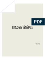 1 Vegetaux Infer. Vet. - Cours