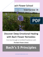 Bachs 5 Principles