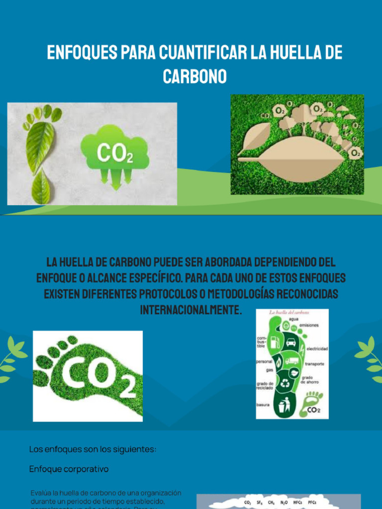 Huella de Carbono en Alimentos | PDF | café | Economía baja en carbono