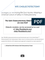The SAGES Safe Cholecystectomy Program - Strategies For Minimizing Bile Duct Injuries