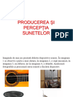 Producerea Si Perceptia Sunetelor MM