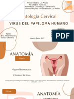Patología Cervical: Virus Del Papiloma Humano