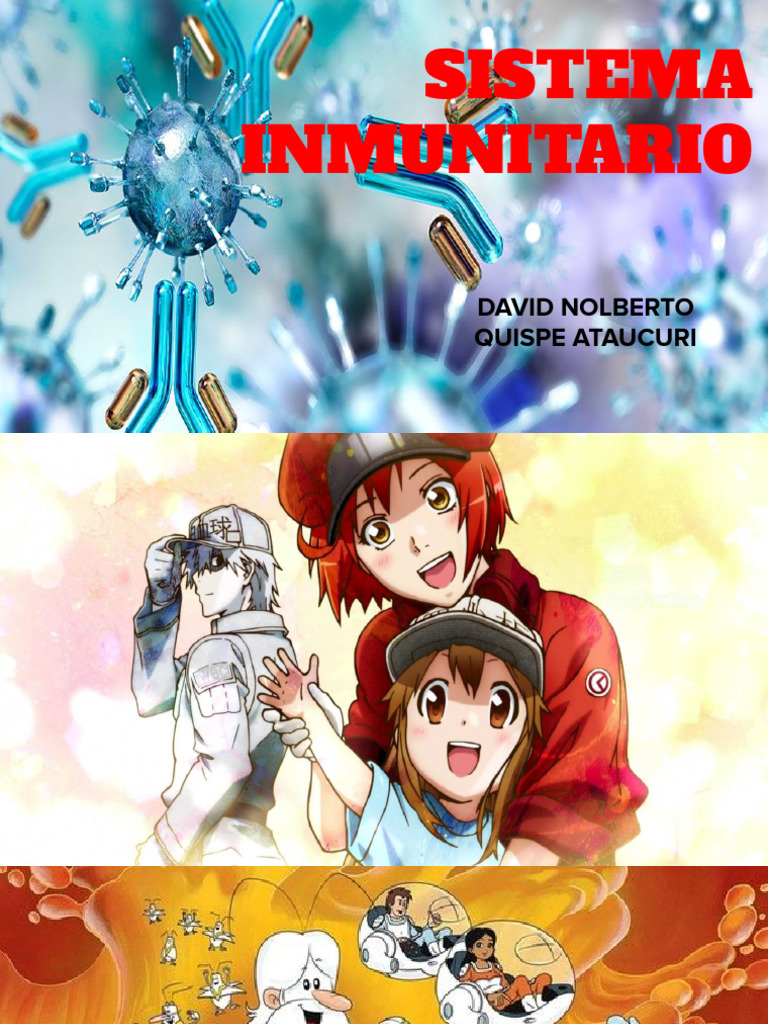 Sistema Inmunitario - Segunda Versión | Descargar gratis PDF | Sistema ...