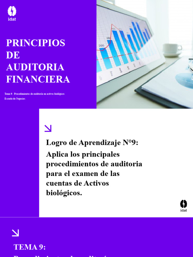 Tema 9 Principios De Auditoria Financiera Pdf Auditoría