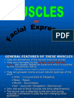 The Muscles of Facial Expression