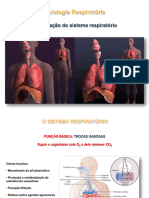 Organização Dos Sistema Respiratório 2020