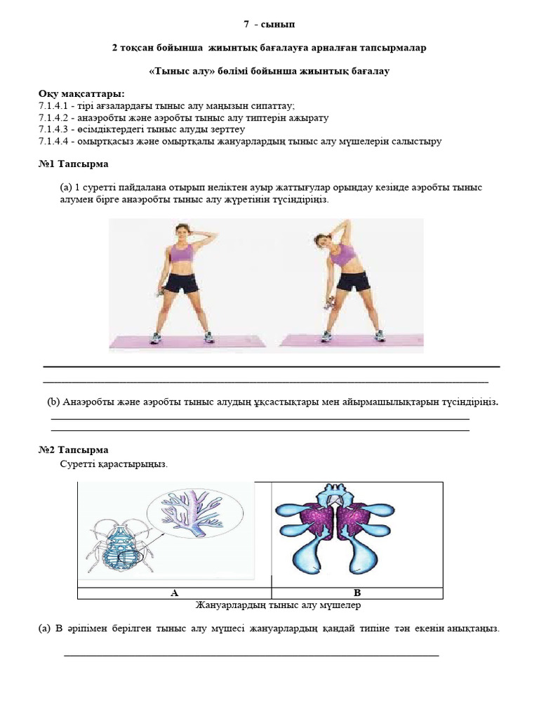 Колледж қыздарының қатысуымен жоғары сапалы HD порно