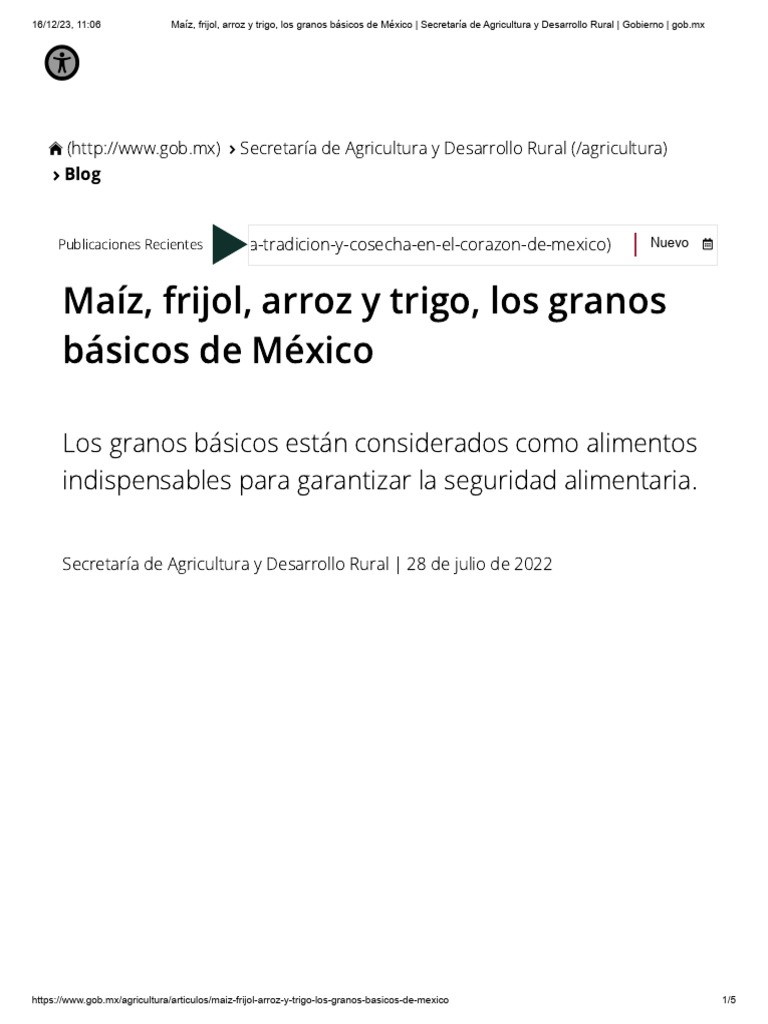 Granos Básicos-Maíz, Frijol, Arroz y Trigo, Los Granos Básicos de ...