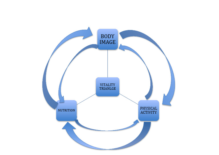 Vitalitly Triangle Connections | PDF
