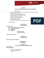 Anexo 2 y 3 Estructura Del Informe Del Proyecto Integrador e Instructivo