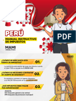 Manual Instructivo - Peru