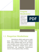 Pengatur Metabolisme