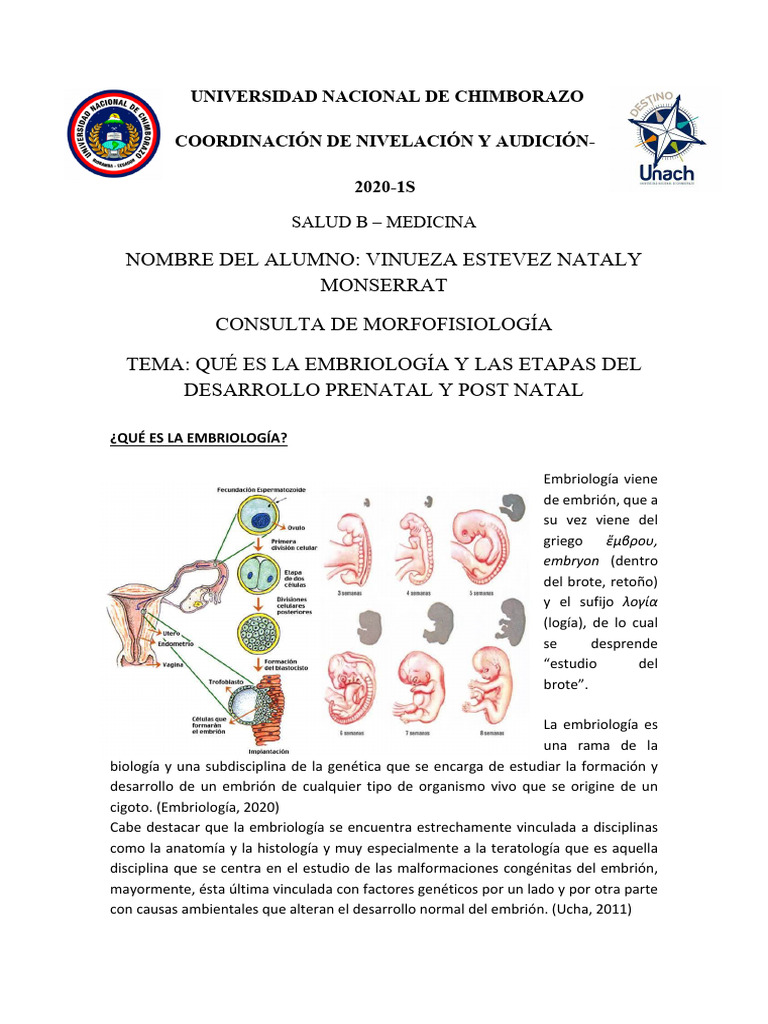 Embriología: Desarrollo Prenatal y Postnatal | PDF | Embrión | Adolescencia