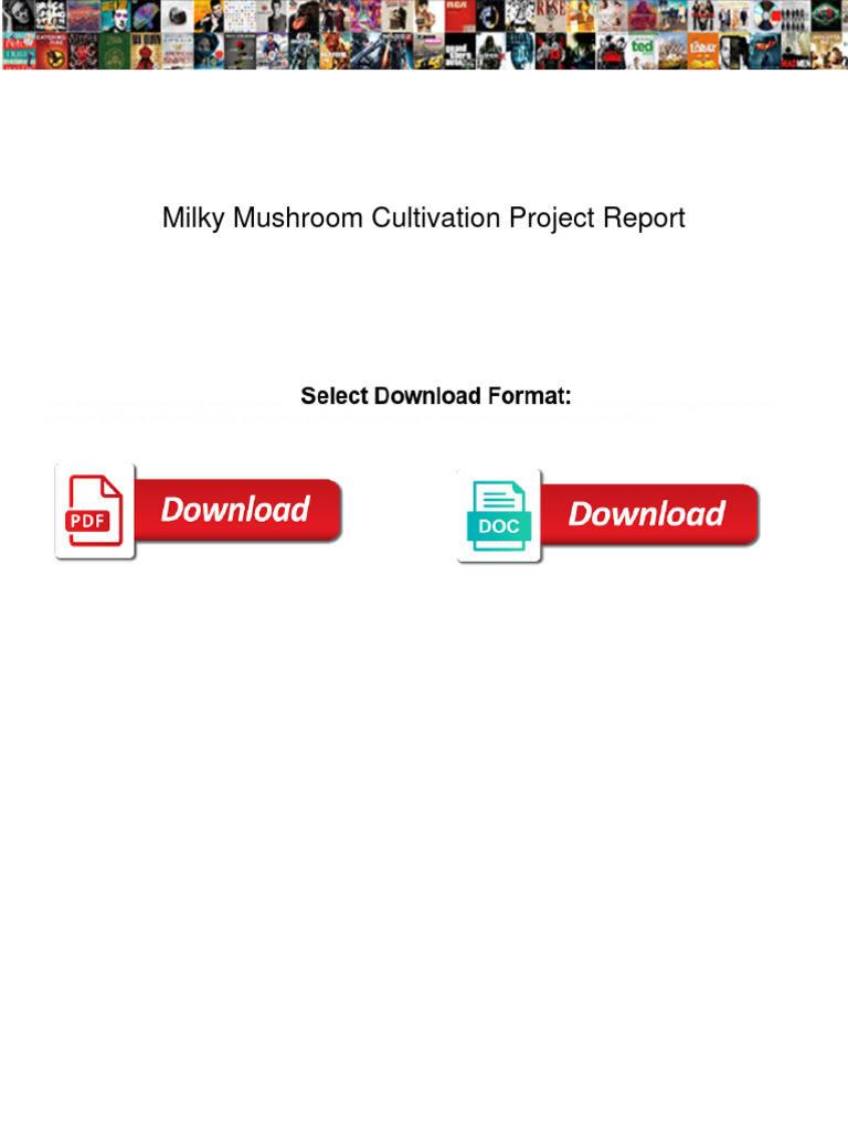 Project Report On Mushroom Cultivation Pdf