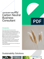 Carbon Neutral Business Consultant