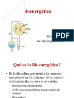 Bioenergetica 2007 I