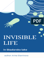 INVISIBLE LIFE in Skadar Lake