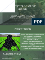 PROTOTIPO