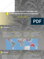 Yayi-Pengendalian Ramah Lingkungan Ulat Grayak Jagung