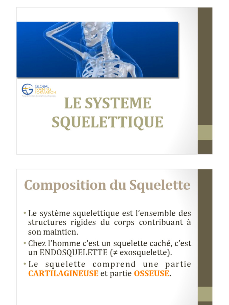 Anatomie du Système Squelettique | PDF | Cartilage | Squelette
