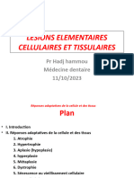 Réponses Adaptatives Medecine Dentaire