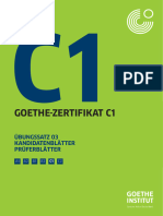 Goethe Institut C1 Sample Paper 02