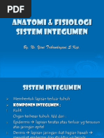 Download Anatomi  Fisiologi Sistem Integumen by Endank Lestari SN69377460 doc pdf