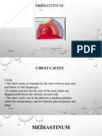 Mediastinum Asuda