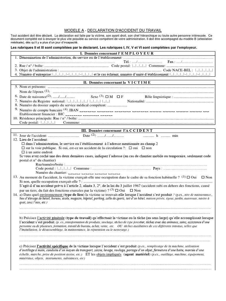 Declaration Public Modele A 0 1 | PDF | Droit