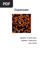 Download Trypanosomes by api-3778601 SN6937968 doc pdf