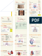 Anatomy and Physiology by 6