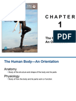 Chapter 1 The Human Body Orientation Edited 55 Slides