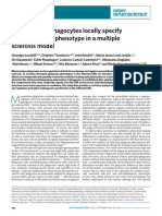 Mononuclear Phagocytes Locally Specify and Adapt Their Phenotype in A Multiple Sclerosis Model