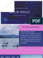 Save 2 Orcas and Dolphins Wide Presentation