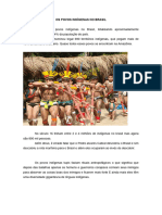 Os Povos Indígenas No Brasil