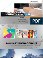 Familias Transnacionales (1)