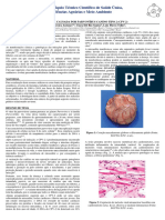Miocardite Causada Por Parvovirus Canino Tipo 2 (CPV-2)