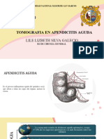 Tomografía en Apendicitis Aguda - PPTX MODIFICADO - PPSX 1