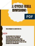 Cellcycle.cell.division