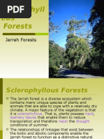 Download Sclerophyllous Forests by api-3778834 SN6938642 doc pdf