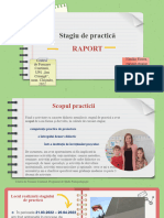 Stagiu de Practică - Raport PPT - Natalia - Florea Exemplu