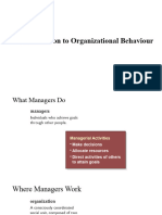 INtroduction To Organizational Behaviour