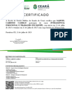 Inteligência Emocional e Trabalho em Equipe-Certificado de Conclusão 24608