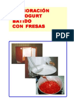 Elaboracion de Yogurt