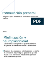 Estimulación Prenatal