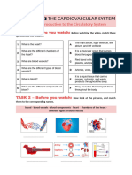 2023 - Handout - Cardiovascular System - STUDENT'S