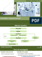 Trabalho Experimental